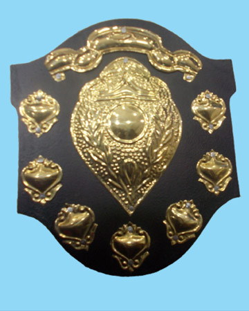SHIELD